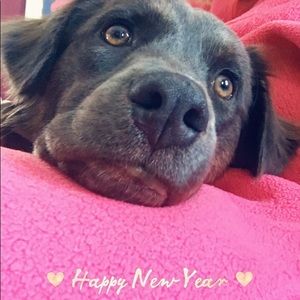 Meet your Posher, Karin